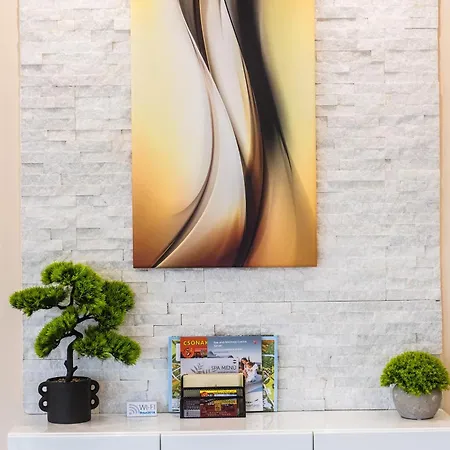 Apartmán Nemeth Sárvár